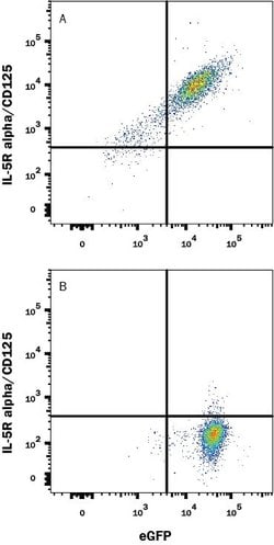 Invitrogen IL5RA Monoclonal Antibody (26815), PE 100 Tests; PE:Antibodies,