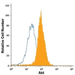 Invitrogen AKT1 Monoclonal Antibody (281046), APC 100 Tests; APC:Antibodies,