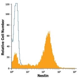 Nestin Monoclonal Antibody (196908), APC:Antibodies, Monoclonal