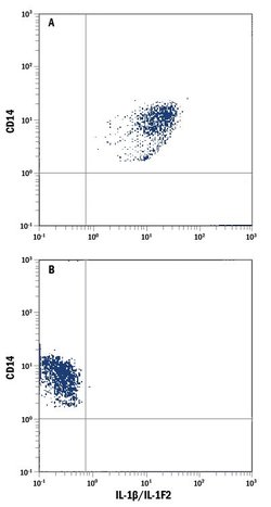 Invitrogen IL-1 beta Monoclonal Antibody (8516), FITC 100 Tests; FITC:Antibodies,