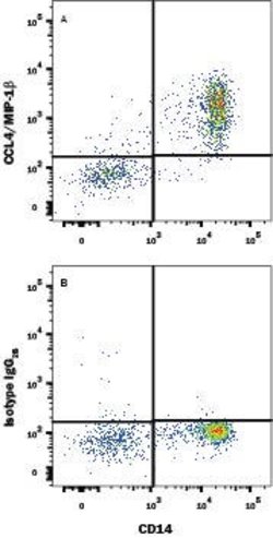 CCL4 Monoclonal Antibody (24006), FITC:Antibodies, Monoclonal