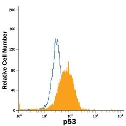 Invitrogen p53 Monoclonal Antibody (184727), APC 100 Tests; APC:Antibodies,