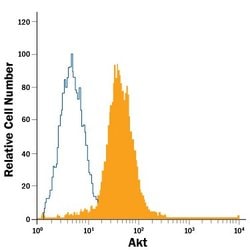Invitrogen AKT1 Monoclonal Antibody (281046), PE 100 Tests; PE:Antibodies,