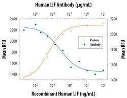 Invitrogen LIF Monoclonal Antibody (9824) 100 &mu;g | Buy Online | Invitrogen&trade; | Fisher Scientific