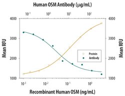 Invitrogen Oncostatin M Monoclonal Antibody (17001) 100 &mu;g; Unconjugated:Antibodies,