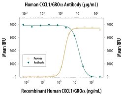 Invitrogen CXCL1 Monoclonal Antibody (20326) 500 &mu;g | Buy Online | Invitrogen&trade; | Fisher Scientific