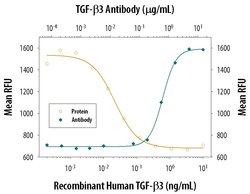 Invitrogen TGF beta-3 Monoclonal Antibody (20724) 100 &mu;g; Unconjugated:Antibodies,