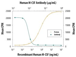 Invitrogen M-CSF Monoclonal Antibody (26730) 100 &mu;g; Unconjugated:Antibodies,