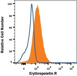 Invitrogen EpoR Monoclonal Antibody (38409) 100 &mu;g; Unconjugated:Antibodies,