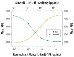 Invitrogen IL-1 alpha Monoclonal Antibody (40508) 100 μg; Unconjugated:Antibodies,