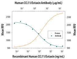 Invitrogen Eotaxin Monoclonal Antibody (43911) 100 &mu;g; Unconjugated:Antibodies,