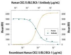 Invitrogen CXCL13 Monoclonal Antibody (53610) 100 &mu;g; Unconjugated:Antibodies,