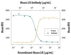 Invitrogen CXCL5 Monoclonal Antibody (61905) 100 &mu;g; Unconjugated:Antibodies,