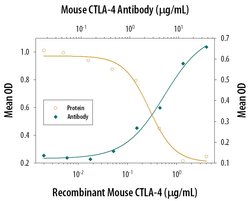 Invitrogen CTLA-4 Monoclonal Antibody (63828) 100 &mu;g; Unconjugated:Antibodies,