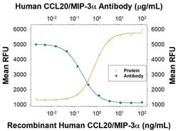 Invitrogen MIP-3 alpha Monoclonal Antibody (67310) 100 &mu;g; Unconjugated:Antibodies,
