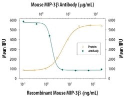 Invitrogen MIP-3 beta Monoclonal Antibody (87102) 100 &mu;g; Unconjugated:Antibodies,