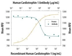 Invitrogen Cardiotrophin 1 Monoclonal Antibody (89215) 100 &mu;g; Unconjugated:Antibodies,
