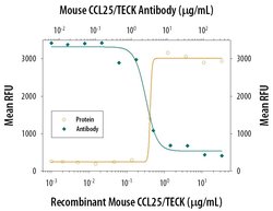 Invitrogen TECK Monoclonal Antibody (89818) 100 &mu;g; Unconjugated:Antibodies,