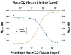 Invitrogen Eotaxin 2 Monoclonal Antibody (106521) 100 &mu;g; Unconjugated:Antibodies,