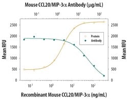 Invitrogen MIP-3 alpha Monoclonal Antibody (114908) 100 &mu;g; Unconjugated:Antibodies,