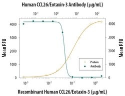 Invitrogen Eotaxin 3 Monoclonal Antibody (115002):Antibodies:Primary Antibodies