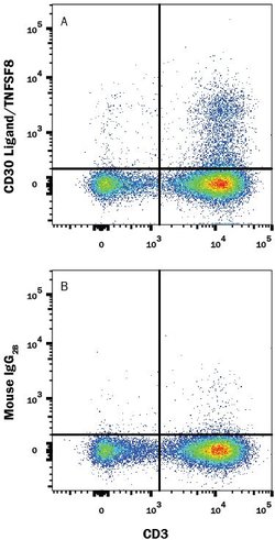 Invitrogen CD153 Monoclonal Antibody (116614) 100 &mu;g; Unconjugated:Antibodies,