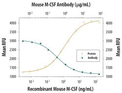 M-CSF Monoclonal Antibody (131621):Antibodies, Monoclonal