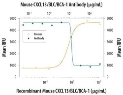 Invitrogen CXCL13 Monoclonal Antibody (143614) 100 &mu;g; Unconjugated:Antibodies,