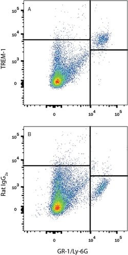 Invitrogen TREM1 Monoclonal Antibody (174031) 100 &mu;g; Unconjugated:Antibodies,