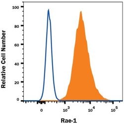 Invitrogen RAE1 delta Monoclonal Antibody (186107) 100 &mu;g; Unconjugated:Antibodies,