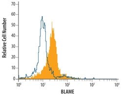 Invitrogen SLAMF8 Monoclonal Antibody (250014) 100 &mu;g; Unconjugated:Antibodies,