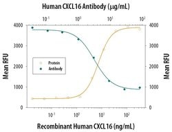 Invitrogen CXCL16 Monoclonal Antibody (256213) 100 &mu;g; Unconjugated:Antibodies,