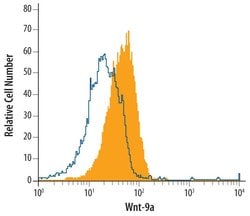 Invitrogen WNT9A Monoclonal Antibody (326711) 100 &mu;g; Unconjugated:Antibodies,