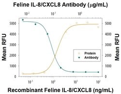 Invitrogen IL-8 (CXCL8) Monoclonal Antibody (344609) 100 &mu;g; Unconjugated:Antibodies,