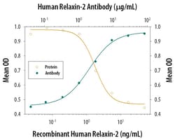 Invitrogen Relaxin 2 Monoclonal Antibody (349102) 100 &mu;g; Unconjugated:Antibodies,