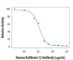 Kallikrein 12 Monoclonal Antibody (364932), Invitrogen 100 &mu;g; Unconjugated:Antibodies,
