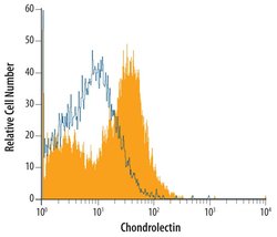 Invitrogen Chondrolectin Monoclonal Antibody (396305) 100 &mu;g; Unconjugated:Antibodies,