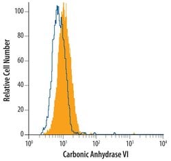 Carbonic Anhydrase VI Monoclonal Antibody (401809):Antibodies, Monoclonal