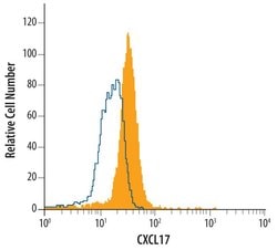 Invitrogen CXCL17 Monoclonal Antibody (422208) 100 &mu;g; Unconjugated:Antibodies,