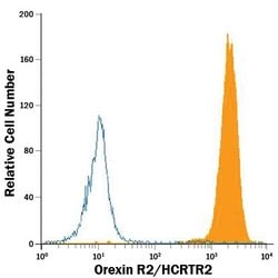 Invitrogen Orexin Receptor 2 Monoclonal Antibody (456738) 100 &mu;g; Unconjugated:Antibodies,