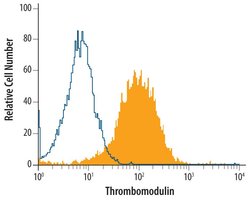 Invitrogen Thrombomodulin Monoclonal Antibody (461714) 100 &mu;g; Unconjugated:Antibodies,