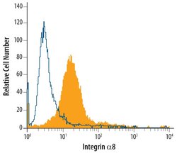 ITGA8 Monoclonal Antibody (481709):Antibodies, Monoclonal