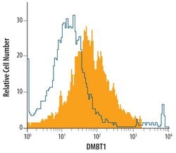 Invitrogen GP340 Monoclonal Antibody (548031) 100 &mu;g; Unconjugated:Antibodies,