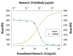 IL-34 Monoclonal Antibody (578416):Antibodies, Monoclonal