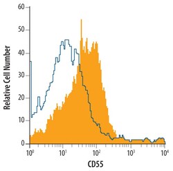 CD55 Monoclonal Antibody (583905), Invitrogen 100 &mu;g; Unconjugated:Antibodies,
