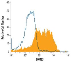 Invitrogen EOMES Monoclonal Antibody (644730) 100 &mu;g; Unconjugated:Antibodies,