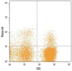 Invitrogen PLXNA4 Monoclonal Antibody (707206) 100 &mu;g | Buy Online | Invitrogen&trade; | Fisher Scientific