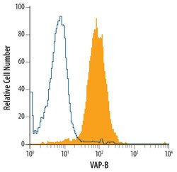 Invitrogen VAPB Monoclonal Antibody (736904) 100 &mu;g; Unconjugated:Antibodies,