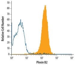 Invitrogen PLXNB2 Monoclonal Antibody (772417) 100 &mu;g | Buy Online | Invitrogen&trade; | Fisher Scientific