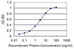 Invitrogen Calmodulin 3 Monoclonal Antibody (1E2) 100 &mu;g; Unconjugated:Antibodies,